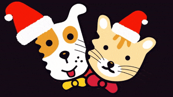 hussekyivlb cat dog eat new year GIF