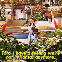 Not In Kansas Anymore Gifs Get The Best Gif On Giphy