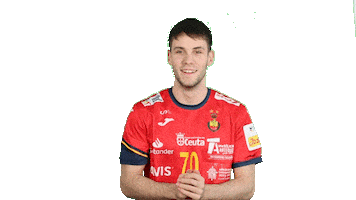 Real Federación Española de Balonmano Sticker