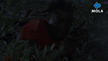 War Movie GIF by MolaTV