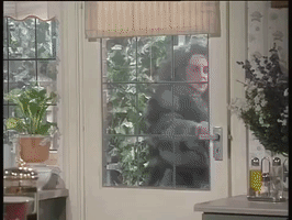 Birds Of A Feather GIF