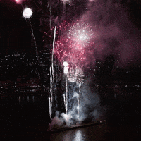 Celebrate 4Th Of July GIF by Onyx Collective