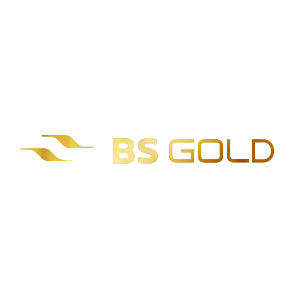 Bs Gold Sticker by BSPAR