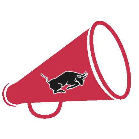 Football Cheerleader Sticker by Hannover Stampeders  AFC