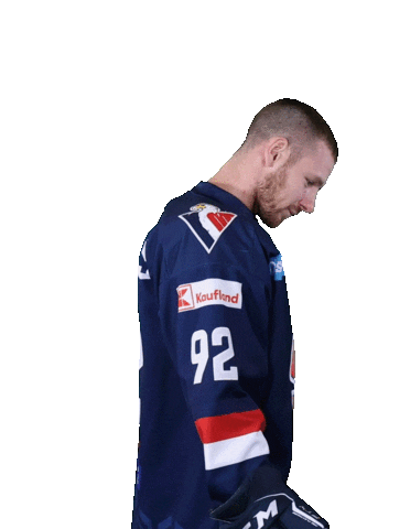 TIPOS Slovenská hokejová liga Sticker