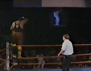 Wwe GIF