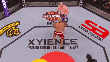 knock out ufc GIF