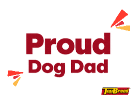 Universal Robina Sticker