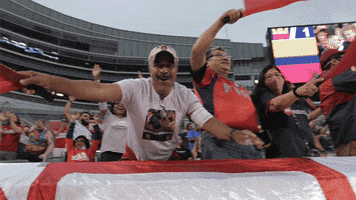 200.gif?cid=fc005b083e82bd17c2860c0e77863f74fbcdbae202aac0d9&rid=200.gif&ct=g