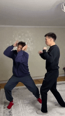 Fight Dance GIF