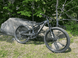 Rick Torrey GIF