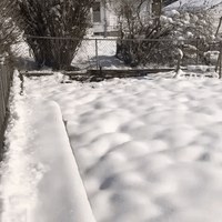 'Feels Like Christmas': Omaha Resident Documents Mid-April Snowfall
