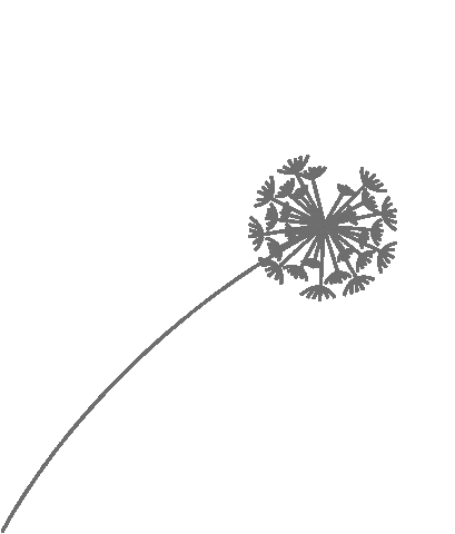 Leonie Sticker by Wens maakt het