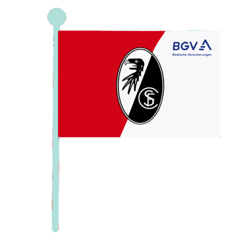 Scf Sportclub Sticker by BGV