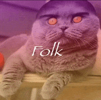 Cat Son GIF