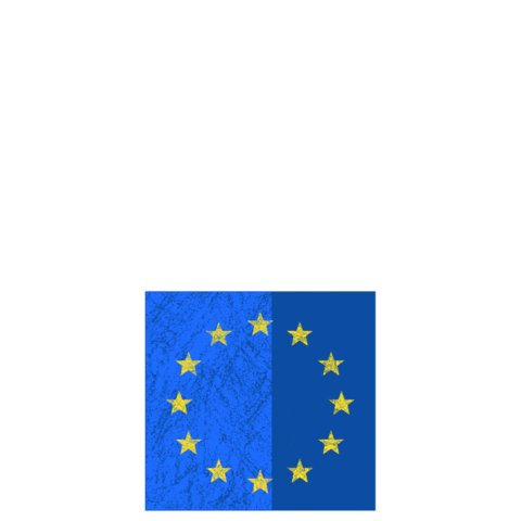 Ballot Box Europe GIF by European Parliament