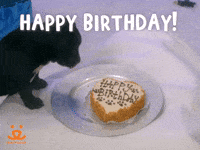 Happy-birthday GIFs - Get the best GIF on GIPHY Happy-birthday GIFs - Get the best GIF on GIPHY