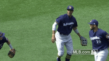flying away milwaukee brewers GIF by MLB