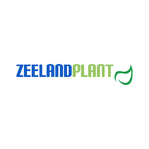Zeeland Plant Sticker by Percy's Creative Agency