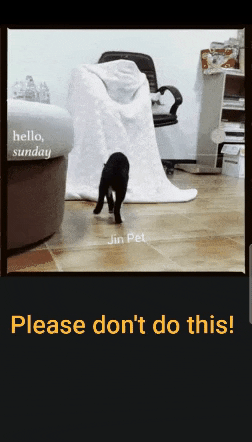Kitty Scared 😂