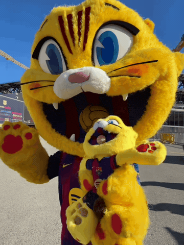 Fc Barcelona Cat GIF