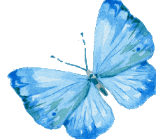 Butterfly Sticker