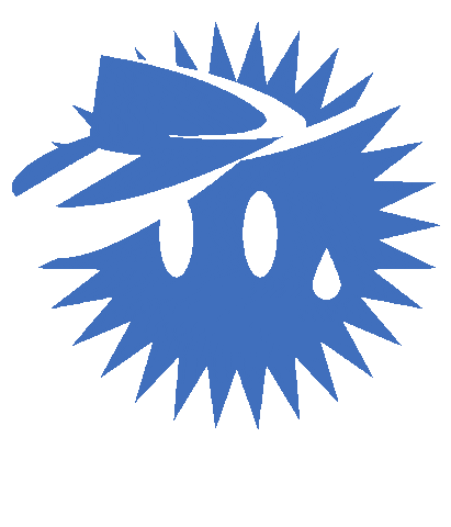 STEIBISONNE Sticker