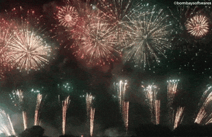 bombaysoftwares lights diwali happydiwali crackers GIF