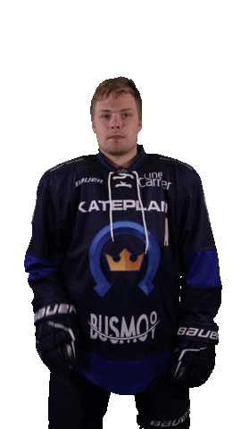 Kiekko-Espoo Sticker