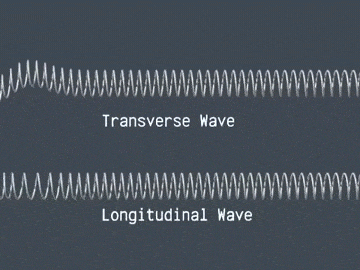 transverse wave animation