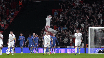 Wembley Stadium Fans GIF by England