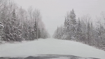 Driving Winter Wonderland GIF by Storyful