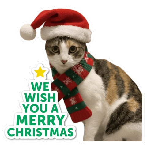 We Wish You A Merry Christmas Sticker