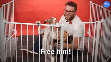 Free Him Seth Rogen GIF by BuzzFeed