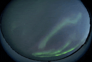 Aurora Borealis Green Lights GIF by Storyful