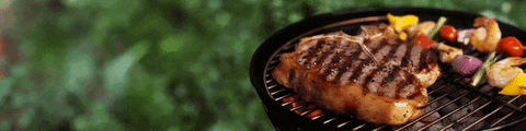 Bbq GIF - Find & Share on GIPHY