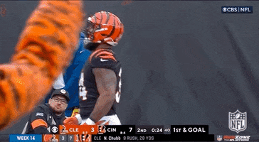 Cincinnati Bengals Kiss GIF by NFL
