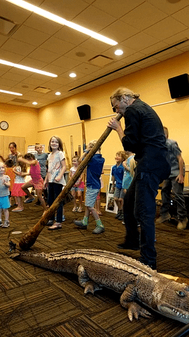 shanachiecarroll central library didgeridoo down under GIF