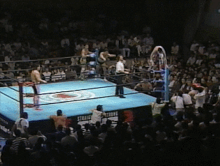 Wwe GIF