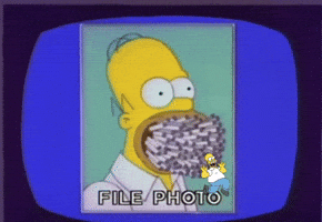 Simpsons Homer GIF