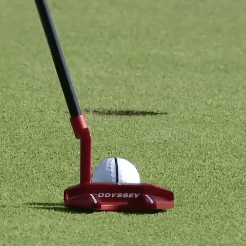 Close Up Win GIF by Travelers Championship