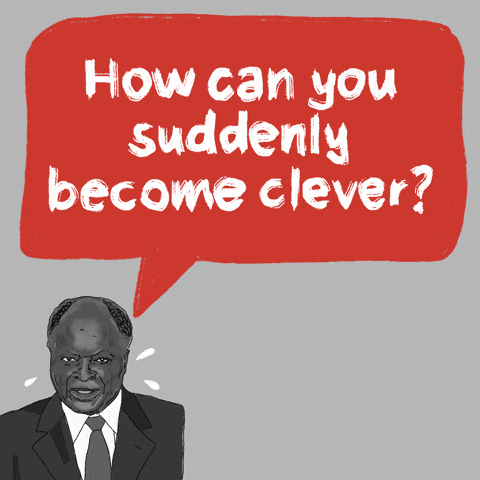 Elections Kenya GIF