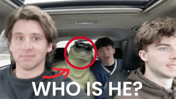Who Is He Buffalo Bills GIF