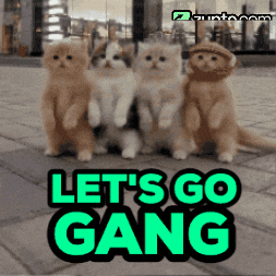 Excited Lets Go GIF by Zypto