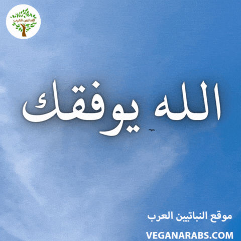 Islam Arabic Language GIF by VeganArabs