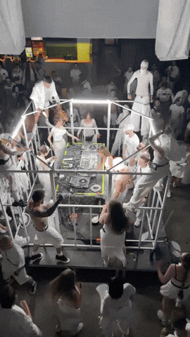 Rave Smena GIF