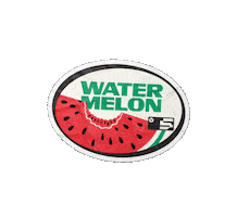 Watermelon Challenge Sticker by everfit.io