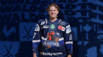 Celebration Hockey GIF by Iserlohn Roosters
