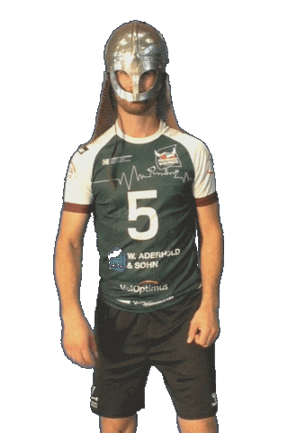 Vikings2026 Sticker by VV Vikings
