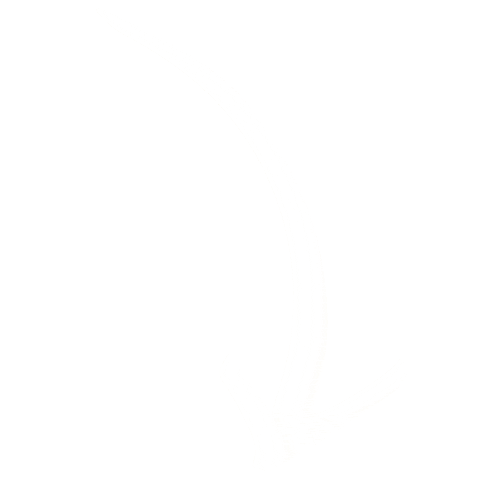 Arrows Sticker by Bedhead Hats